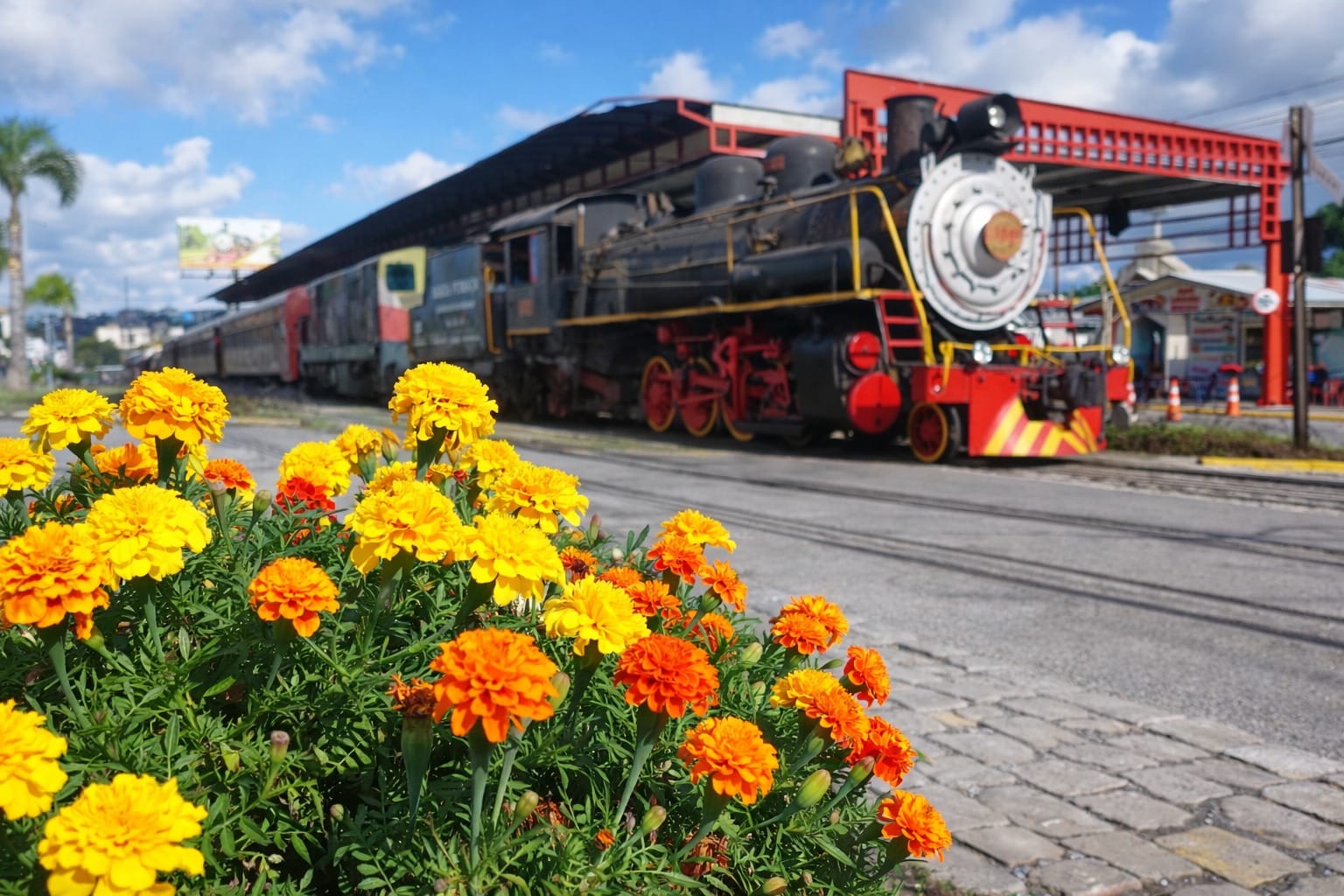 Tour Trem e Vinho com Ingresso Epopeia Italiana e Trem Maria Fumaça
