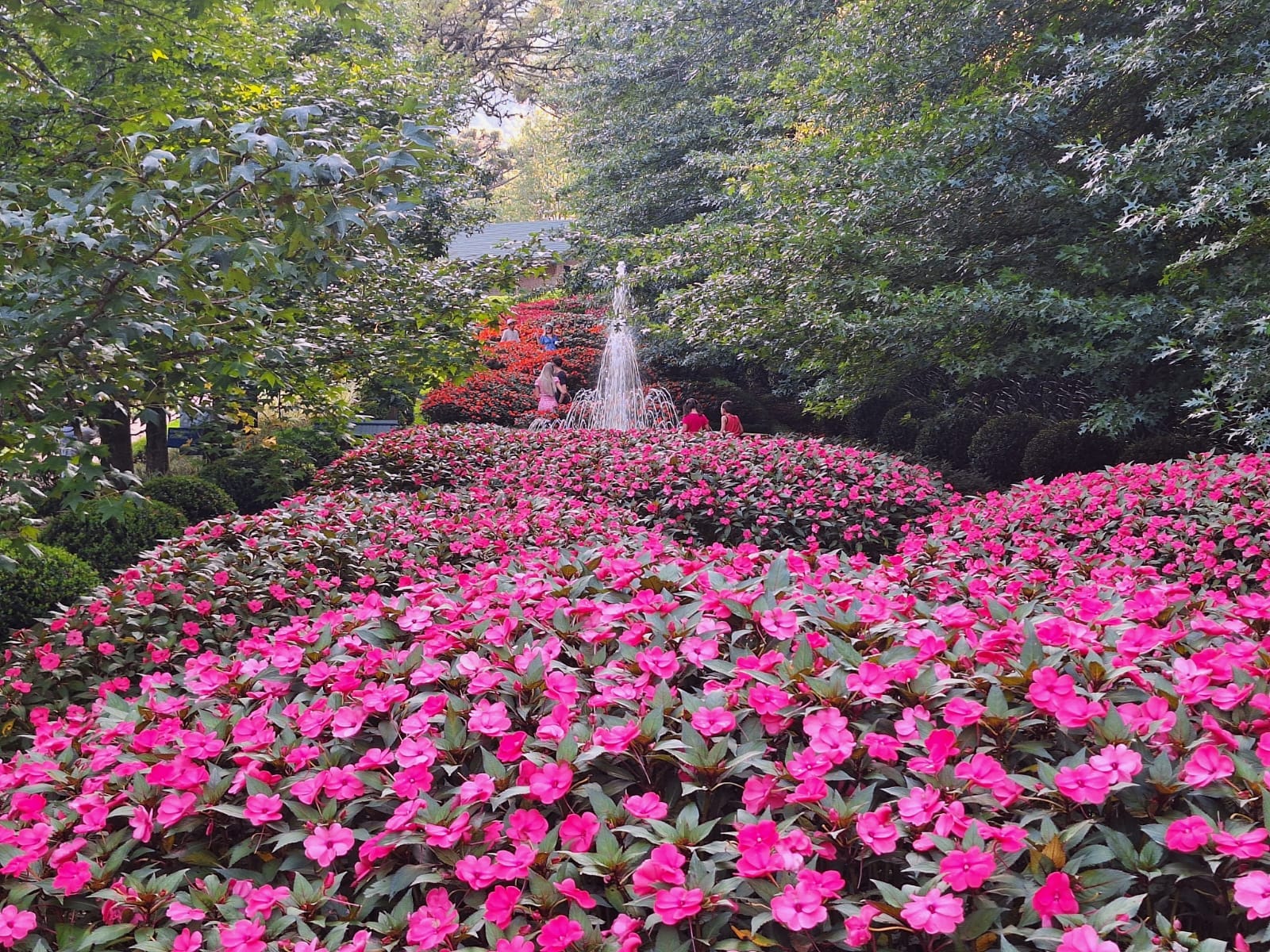 Ingresso Garden Park